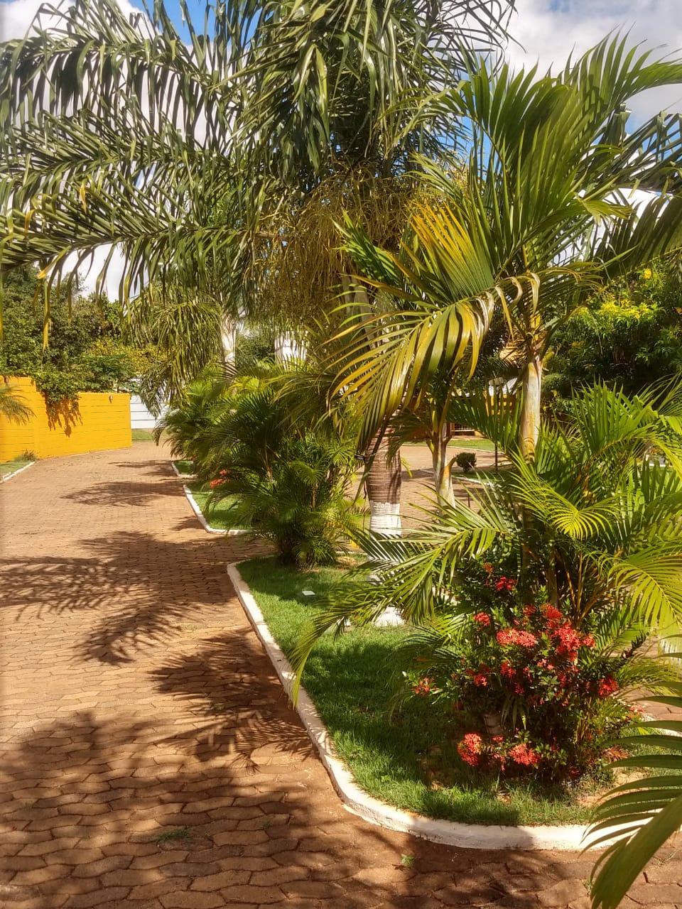 Ambiente integrado com natureza